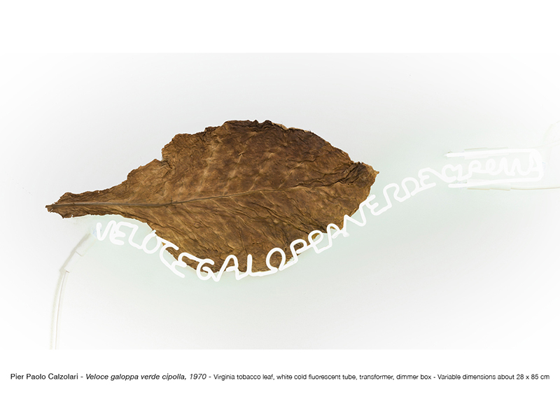 Repetto Gallery - Mobile Photo - 8
